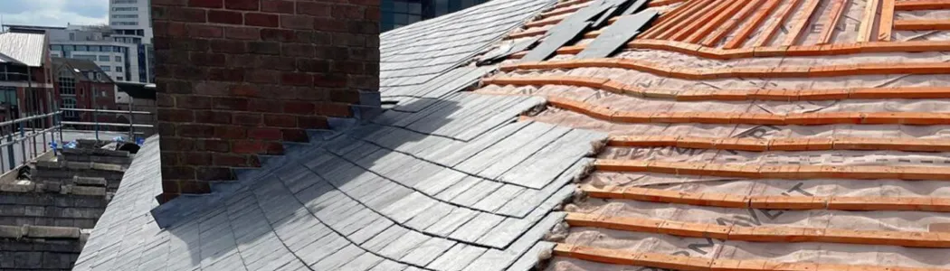 Timber_Level_1_Images_1050px_x_300px8