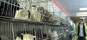 roof_drainage
